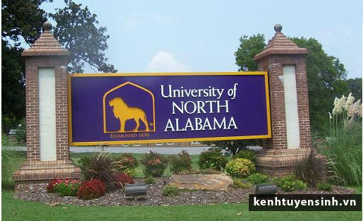 University of North Alabama: Các chương trình đào tạo